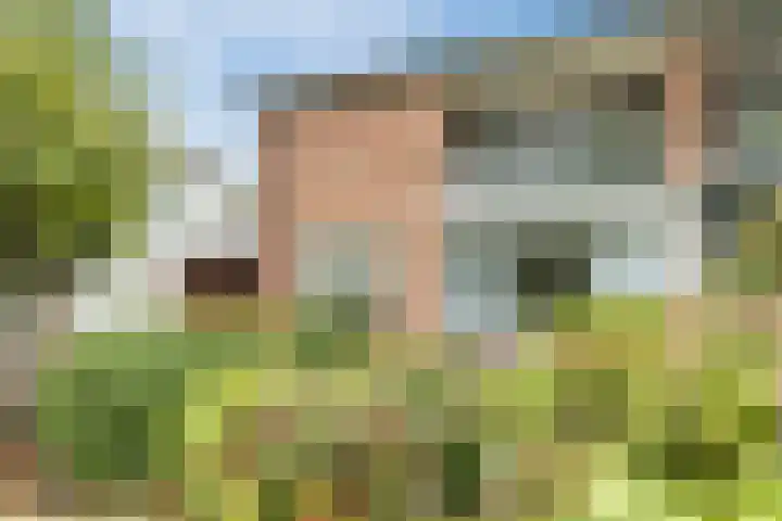 Beatrixstraat 8 Groenlo thumbnail 6
