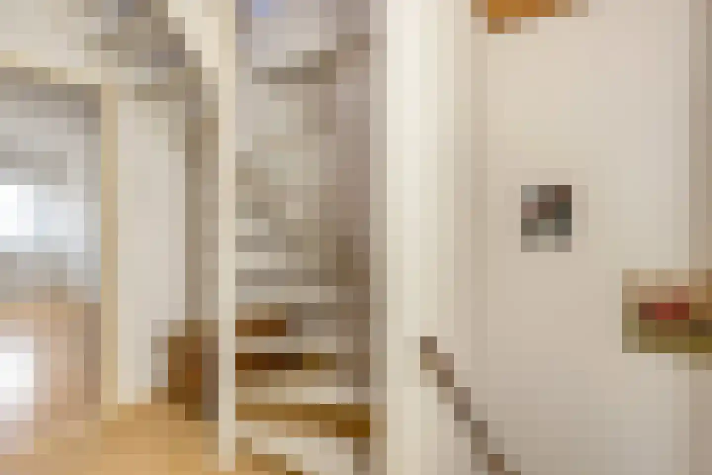 Beatrixstraat 8 Heeswijk-Dinther thumbnail 24