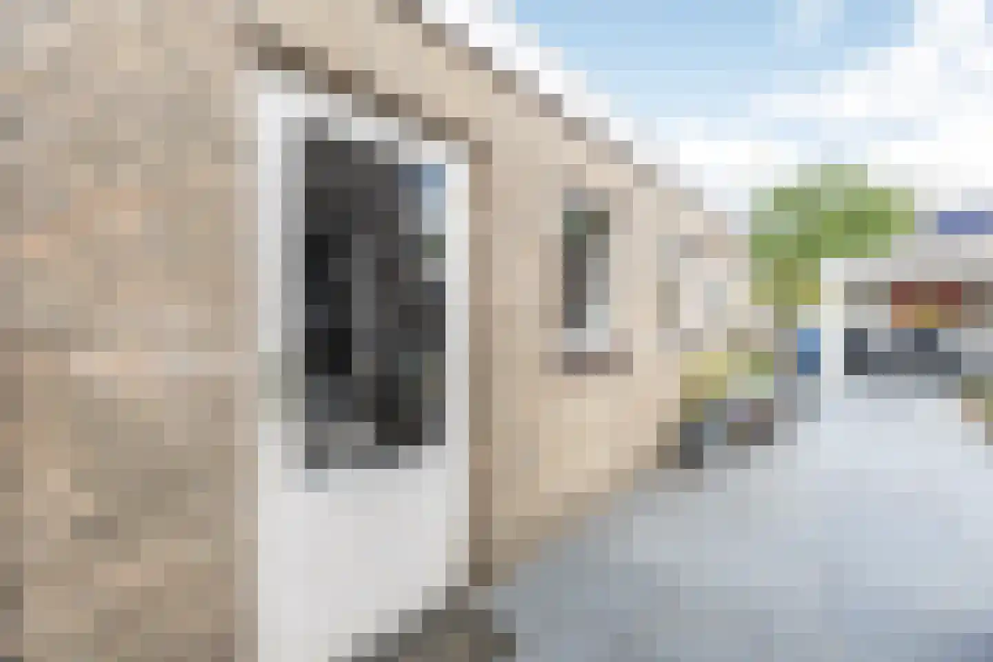 Beatrixstraat 8 Heeswijk-Dinther thumbnail 26
