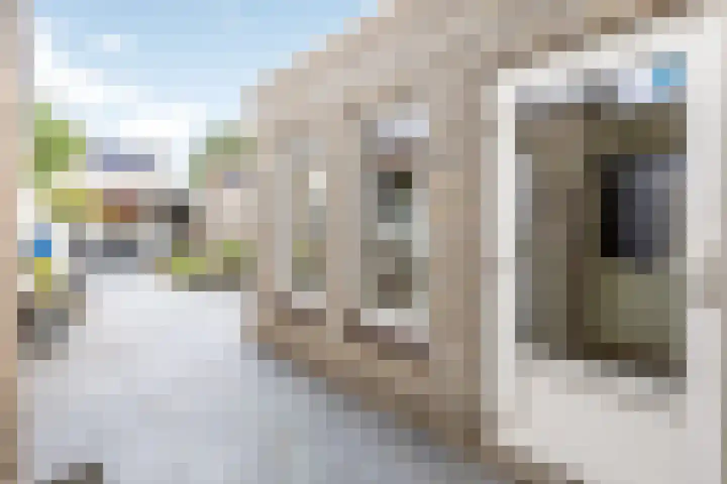 Beatrixstraat 8 Heeswijk-Dinther thumbnail 27