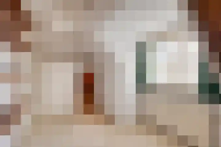 Beatrixstraat 8 Huissen thumbnail 27