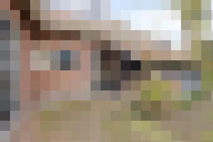 Beatrixstraat 8 Huissen thumbnail 32