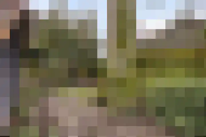 Beatrixstraat 8 Huissen thumbnail 36