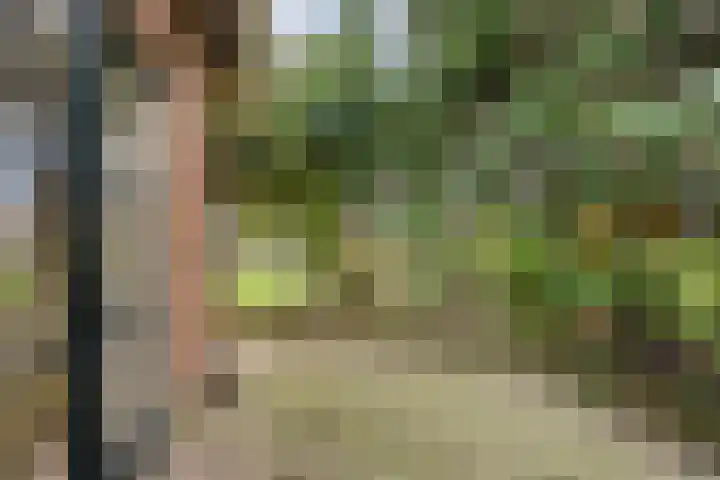 Beatrixstraat 8 Huissen thumbnail 39