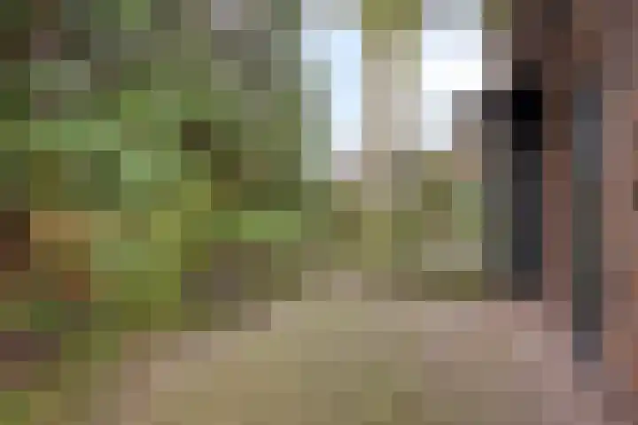 Beatrixstraat 8 Huissen thumbnail 40
