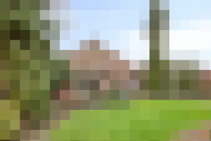 Beatrixstraat 8 Huissen thumbnail 42