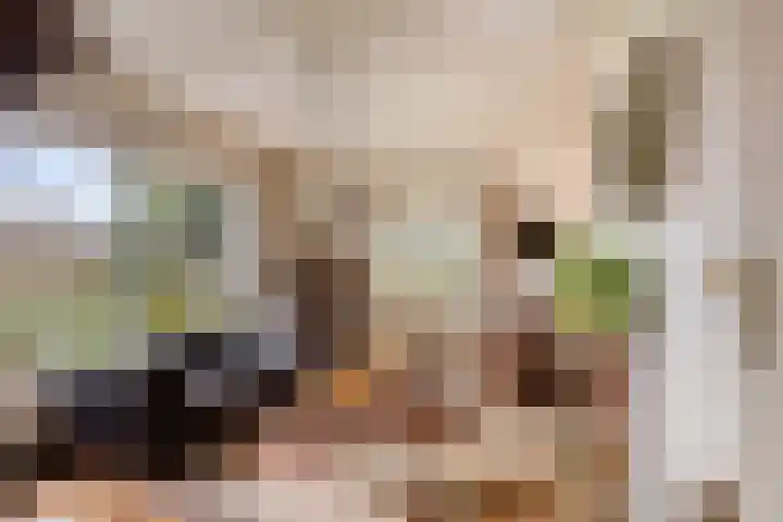 Beatrixstraat 8 Huissen thumbnail 6