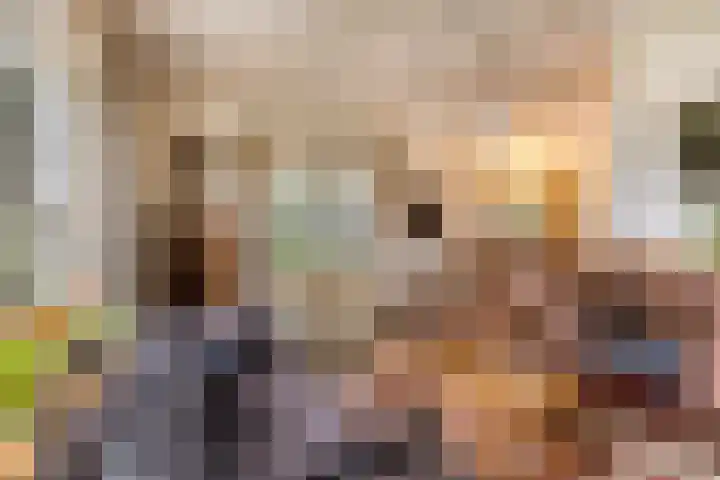 Beatrixstraat 8 Huissen thumbnail 7
