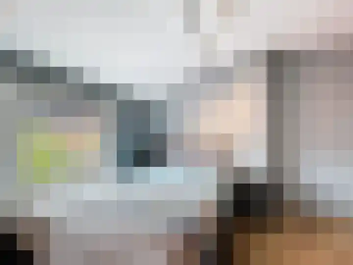 Beatrixstraat 8 Terneuzen thumbnail 14