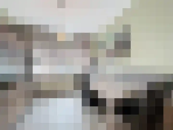 Beatrixstraat 8 Terneuzen thumbnail 5