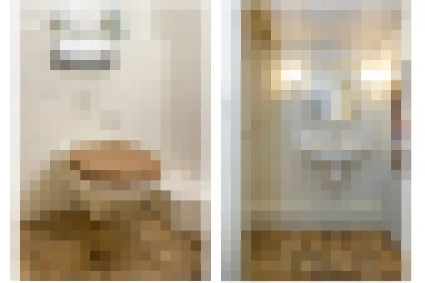 Beatrixstraat 8 Voorhout thumbnail 13