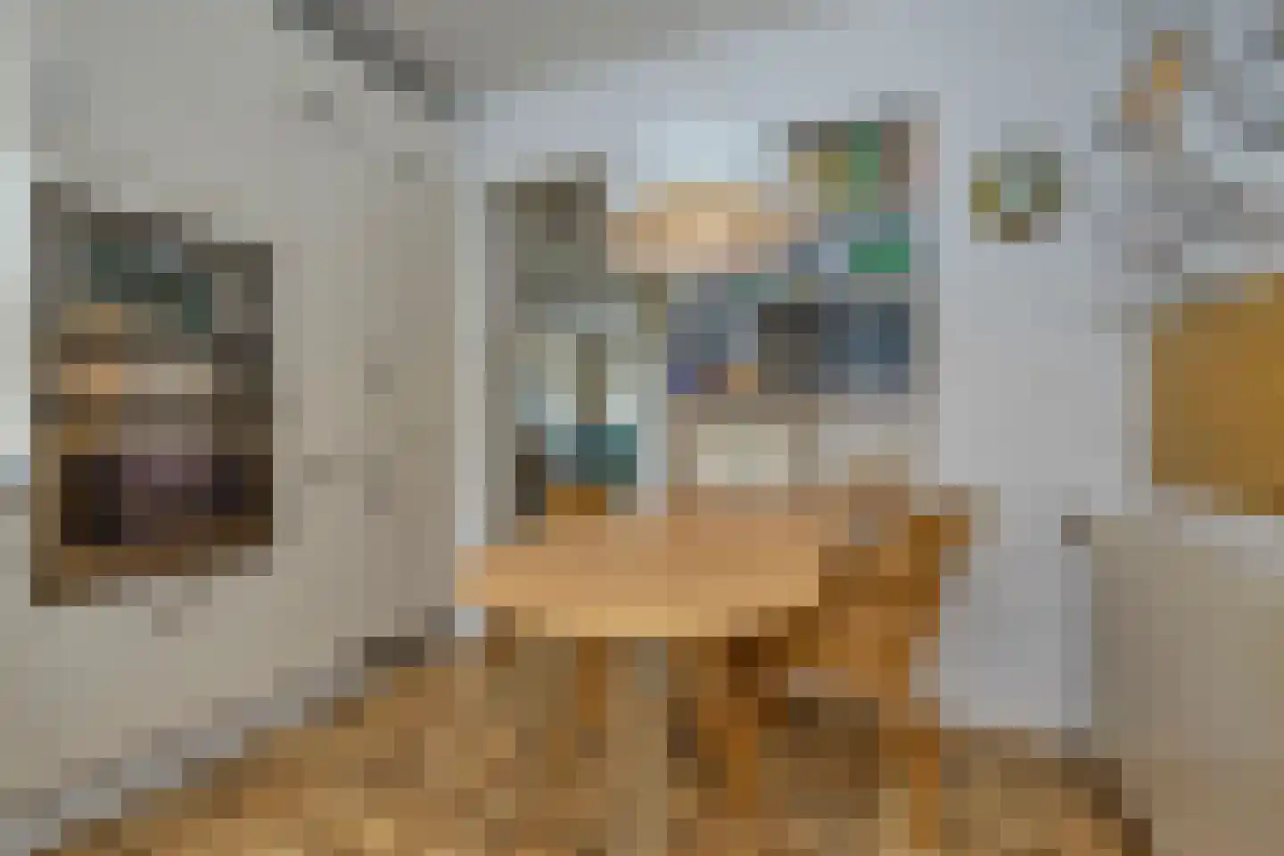 Beatrixstraat 8 Voorhout thumbnail 19