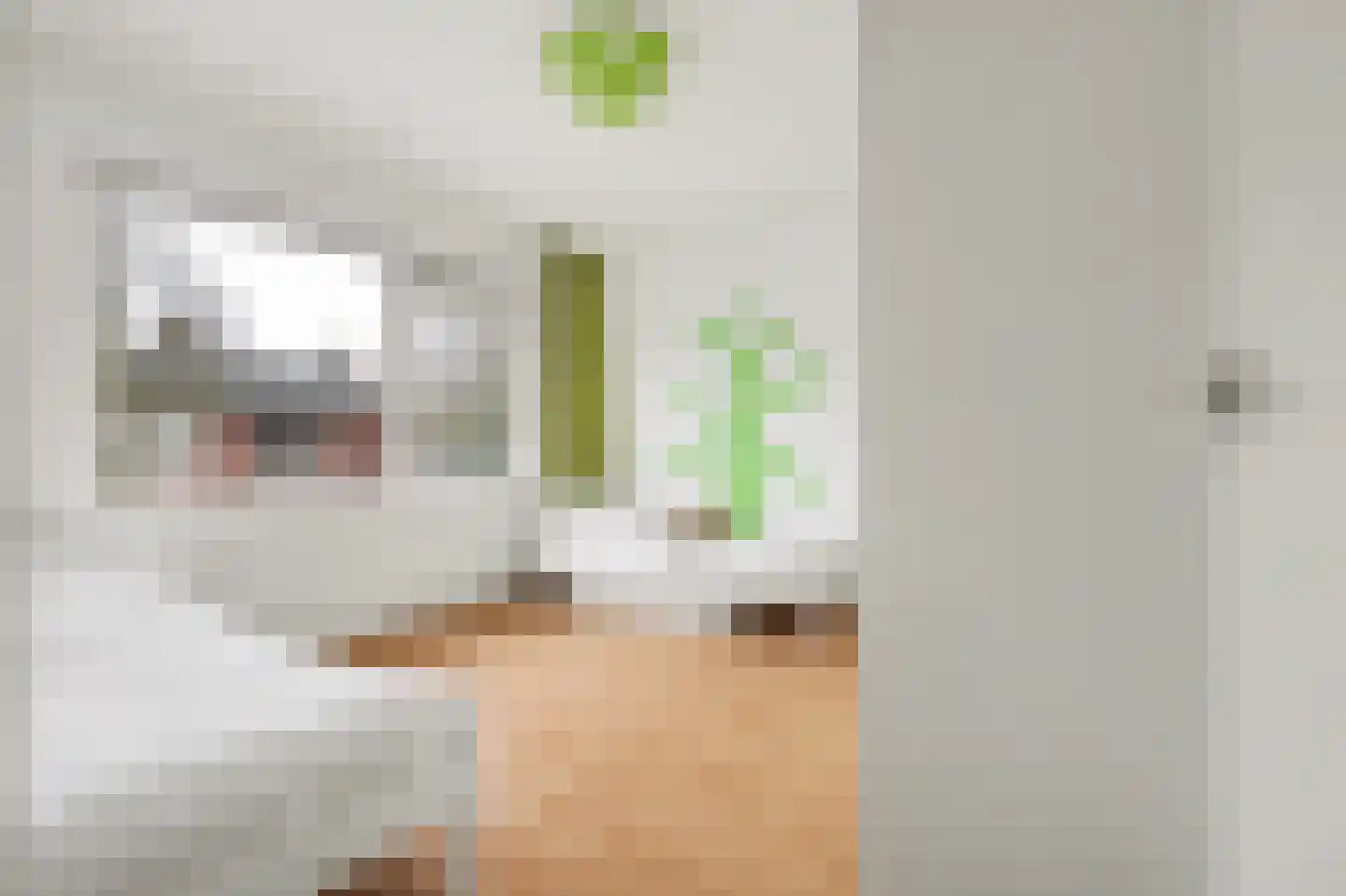 Beatrixstraat 9 Angeren thumbnail 15