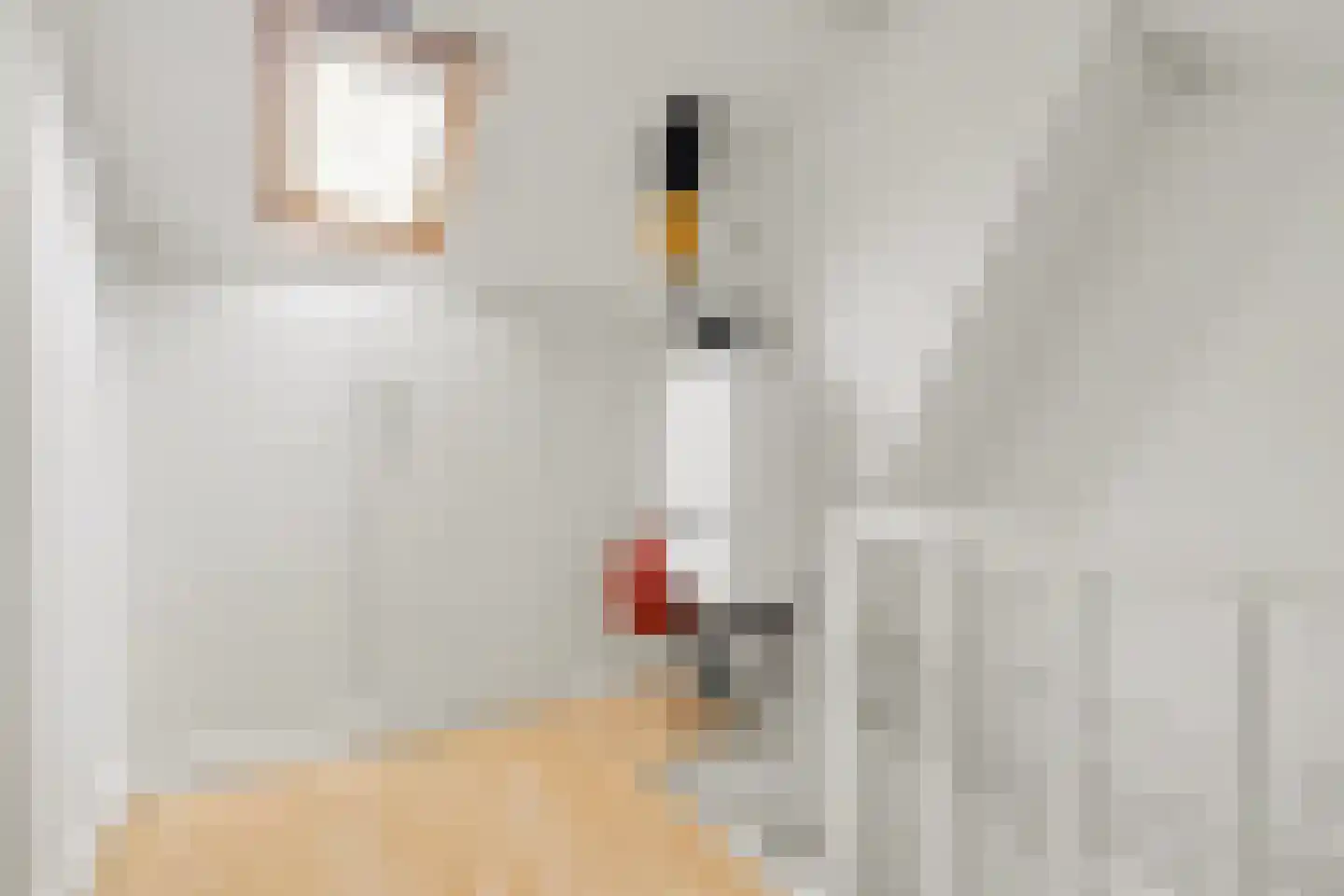 Beatrixstraat 9 Angeren thumbnail 25
