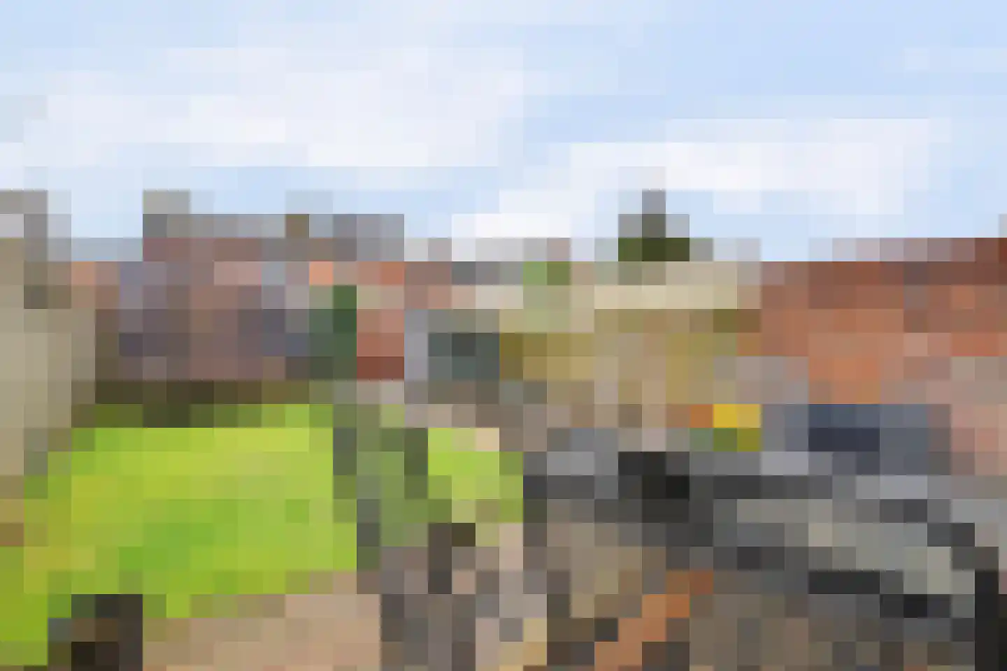 Beatrixstraat 9 Angeren thumbnail 30