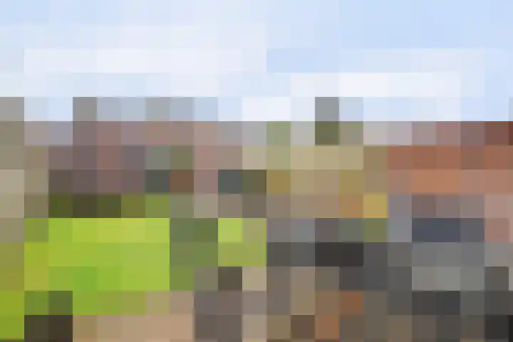 Beatrixstraat 9 Angeren thumbnail 30