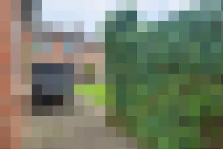 Beatrixstraat 9 Angeren thumbnail 33