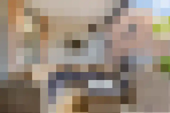 Beatrixstraat 9 Angeren thumbnail 8