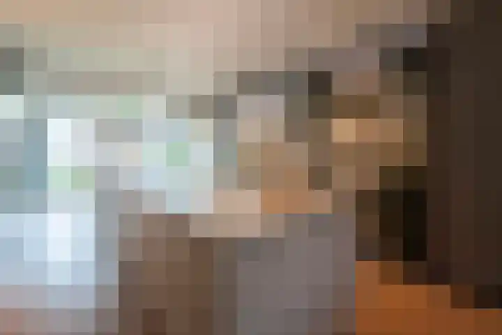 Beatrixstraat 9 Bosschenhoofd thumbnail 13