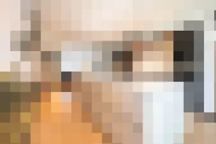 Beatrixstraat 9 Bosschenhoofd thumbnail 15