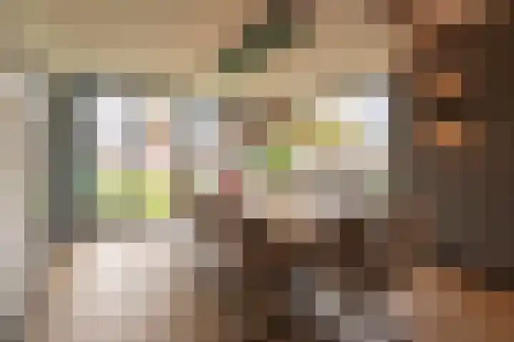 Beatrixstraat 9 Bosschenhoofd thumbnail 17