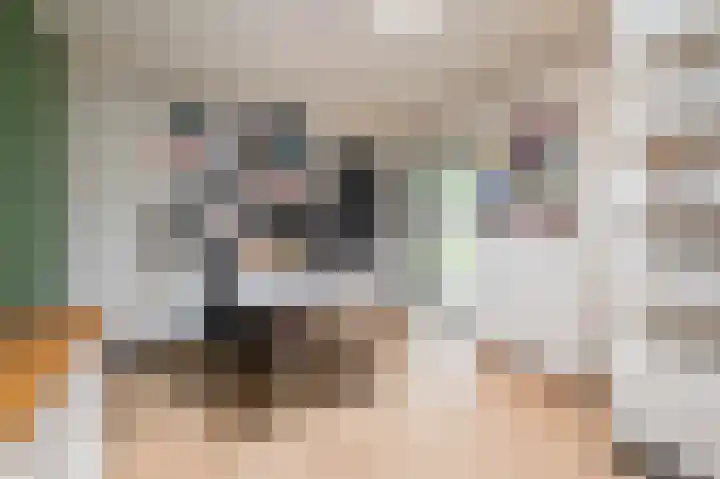 Beatrixstraat 9 Bosschenhoofd thumbnail 19