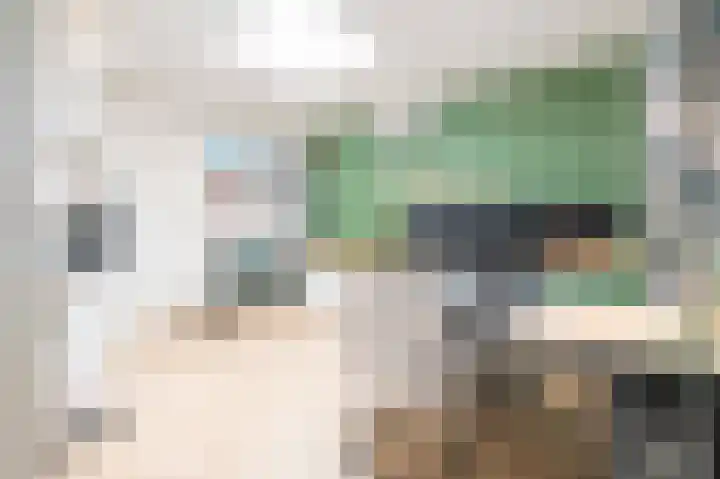 Beatrixstraat 9 Bosschenhoofd thumbnail 20