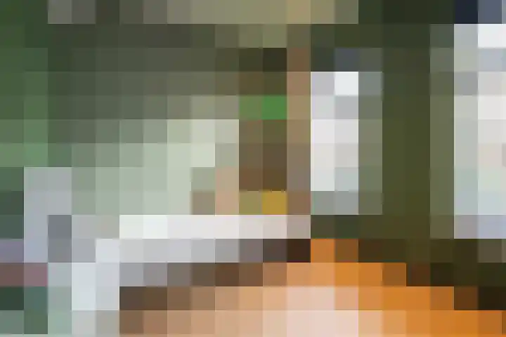 Beatrixstraat 9 Bosschenhoofd thumbnail 31