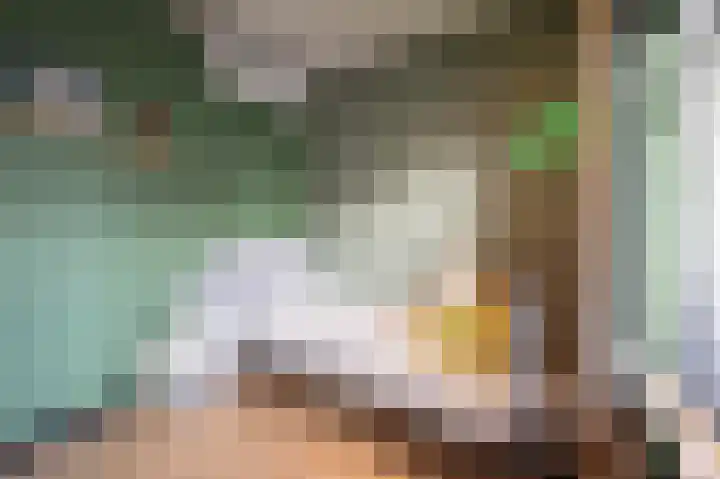 Beatrixstraat 9 Bosschenhoofd thumbnail 32