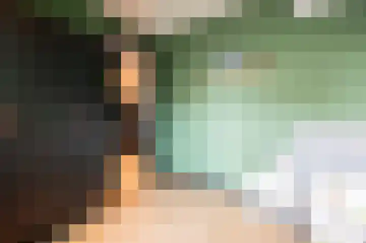 Beatrixstraat 9 Bosschenhoofd thumbnail 33