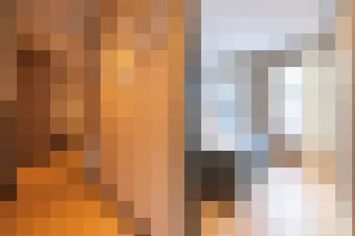 Beatrixstraat 9 Bosschenhoofd thumbnail 34