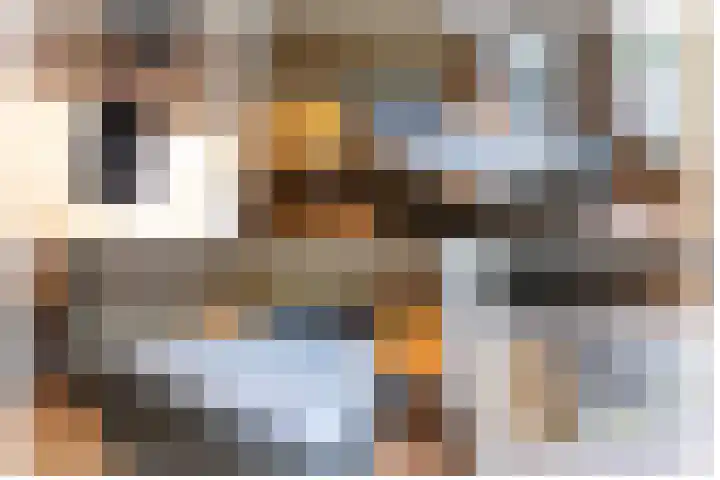Beatrixstraat 9 Bosschenhoofd thumbnail 35