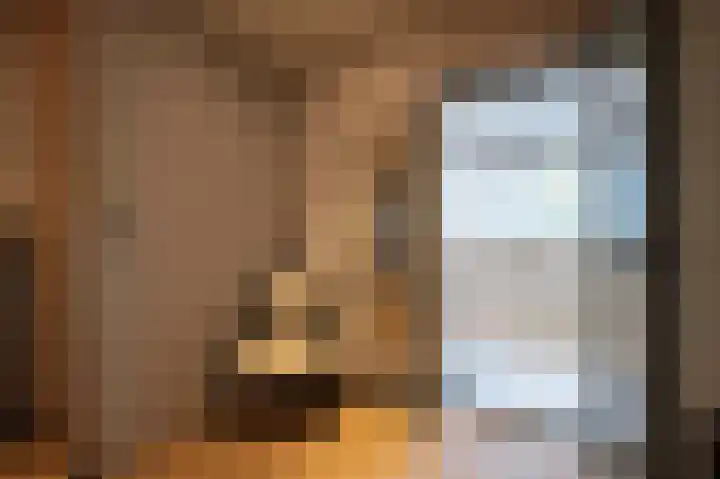Beatrixstraat 9 Bosschenhoofd thumbnail 40