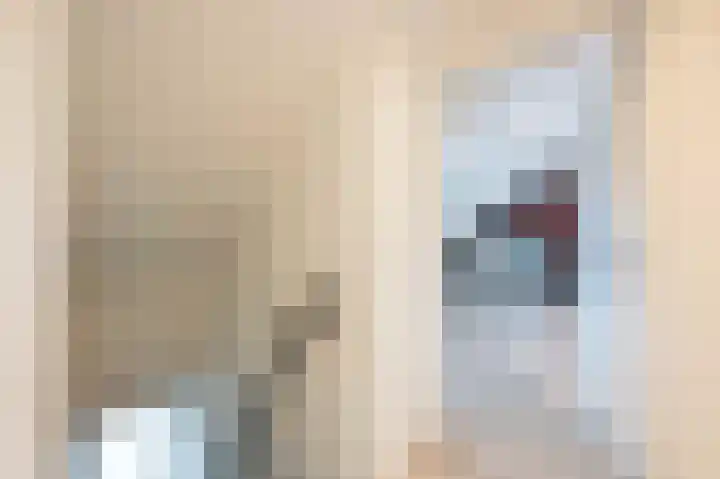 Beatrixstraat 9 Bosschenhoofd thumbnail 47