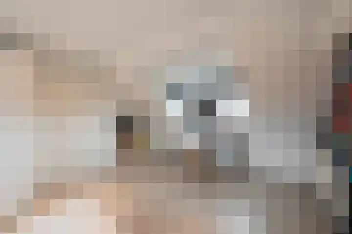 Beatrixstraat 9 Bosschenhoofd thumbnail 49