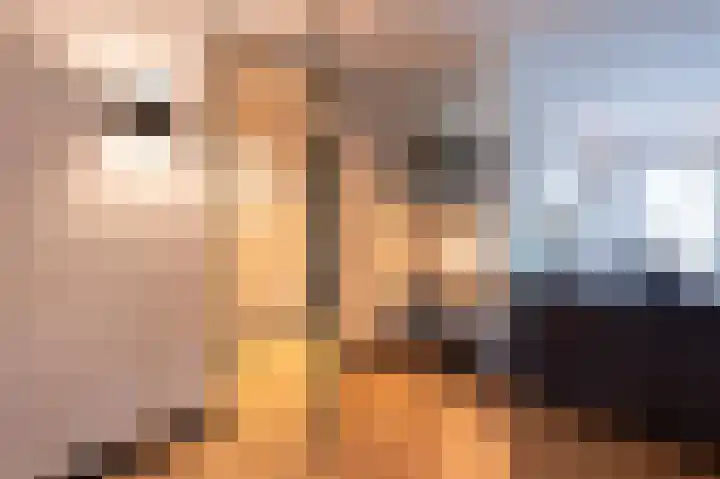 Beatrixstraat 9 Bosschenhoofd thumbnail 5
