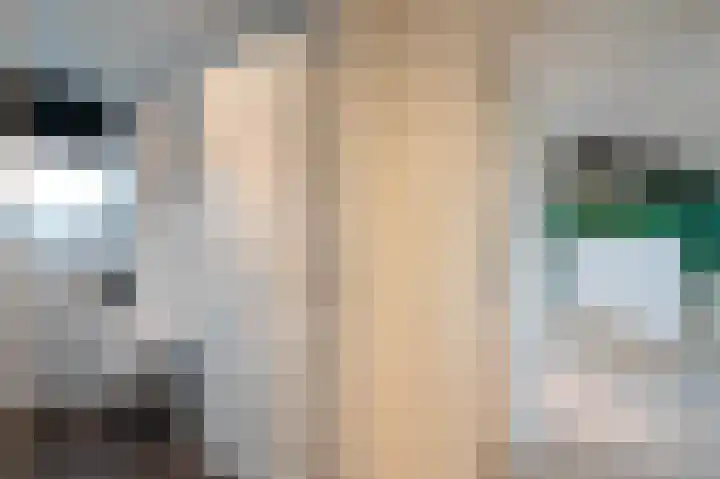 Beatrixstraat 9 Bosschenhoofd thumbnail 51