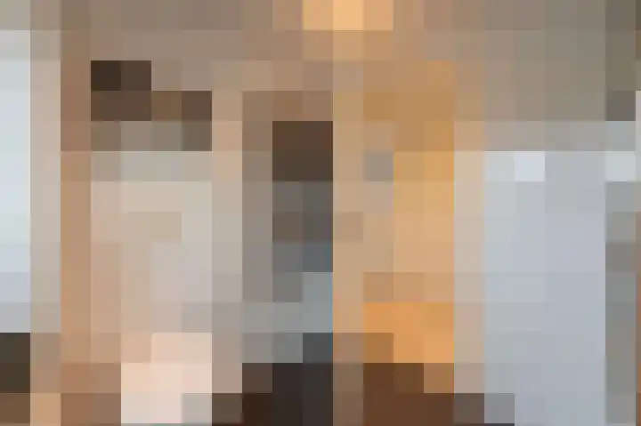 Beatrixstraat 9 Bosschenhoofd thumbnail 54