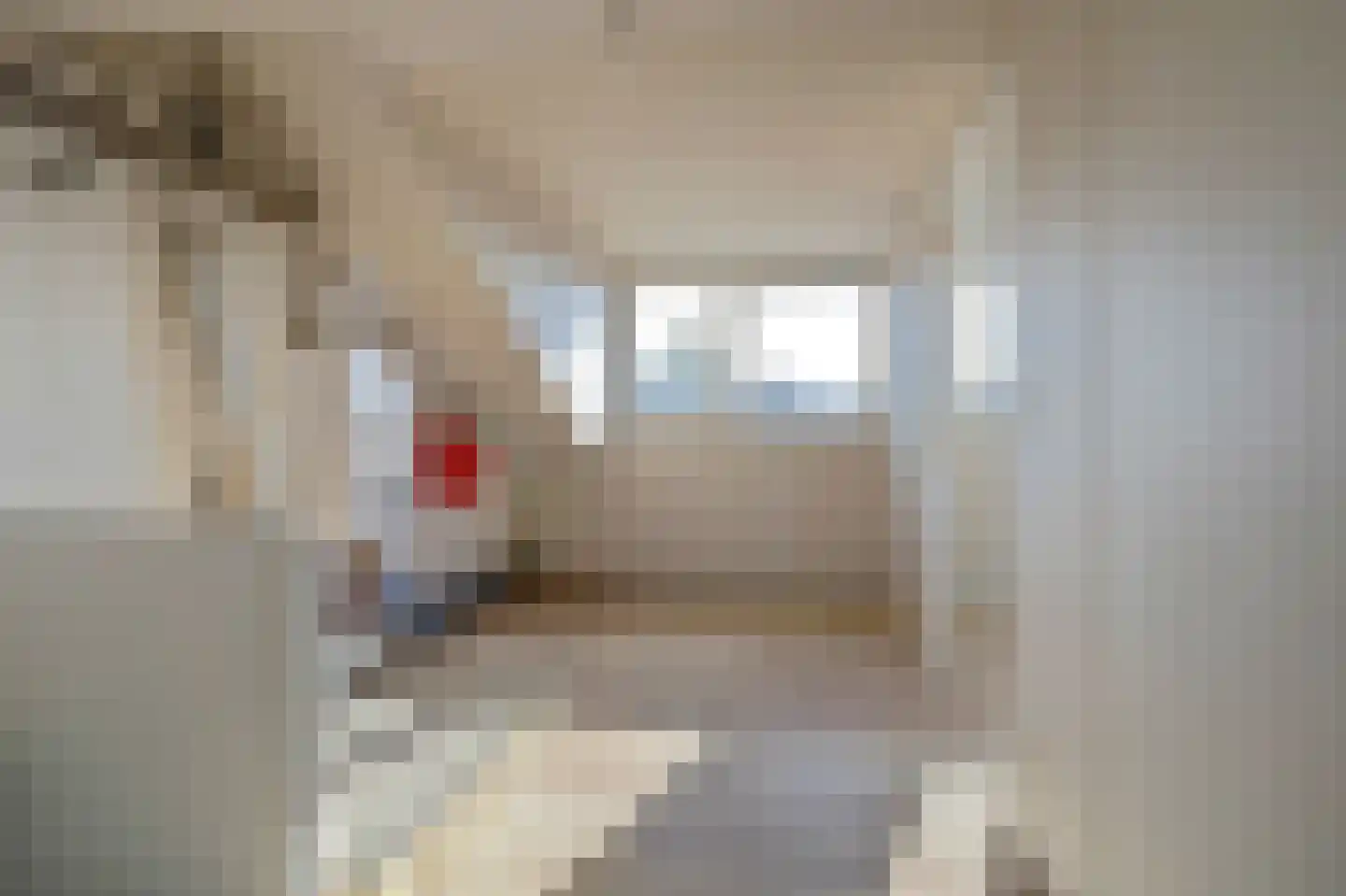 Beatrixstraat 9 Kerkdriel thumbnail 23