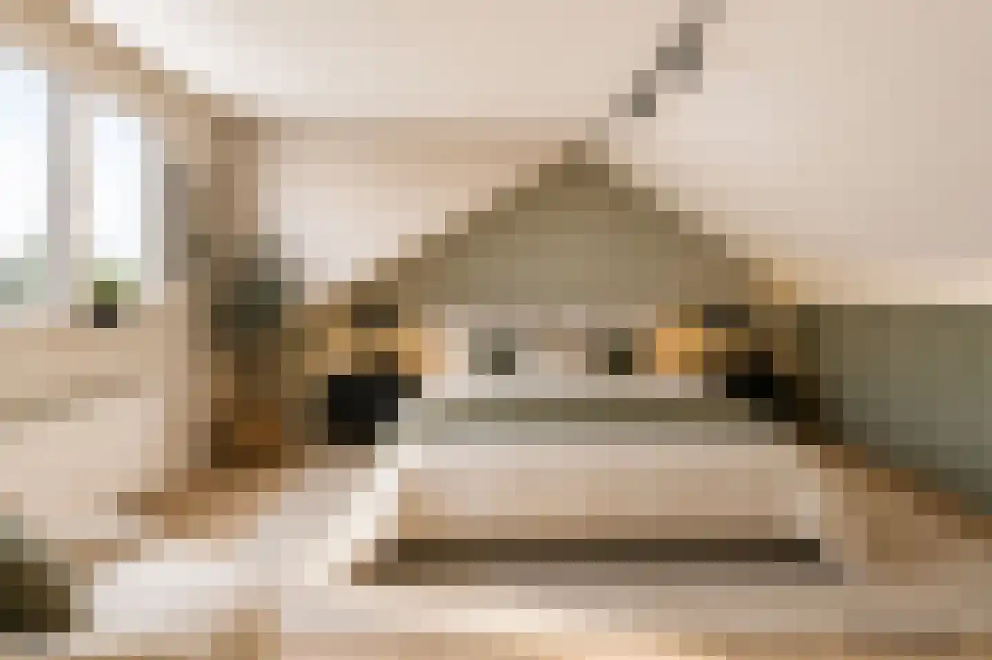 Beatrixstraat 9 Kerkdriel thumbnail 24