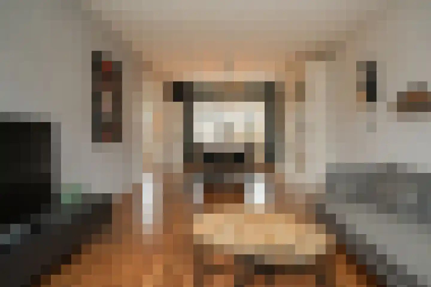 Beatrixstraat 9 Kerkdriel thumbnail 7