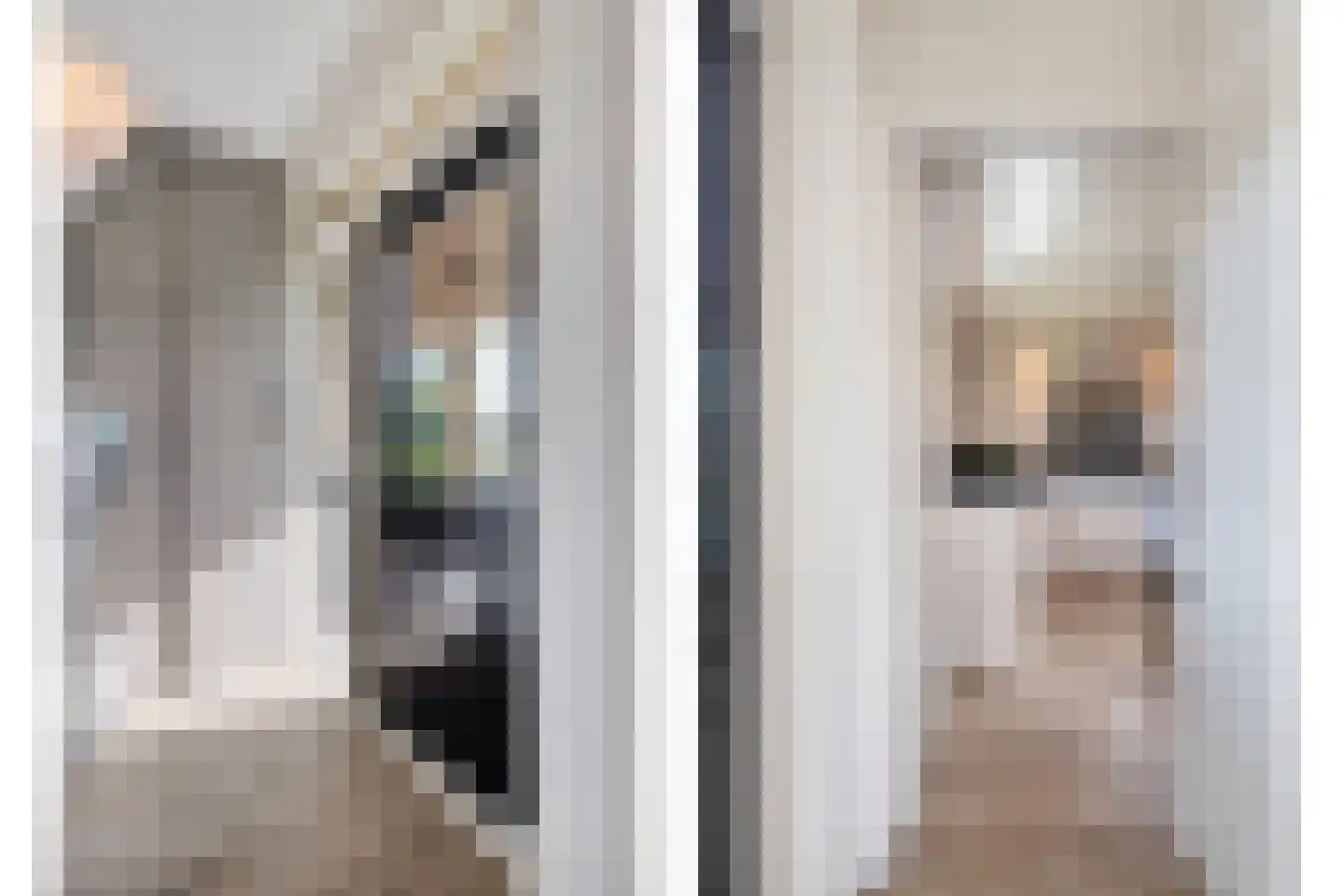 Beatrixstraat 9 Rossum thumbnail 11