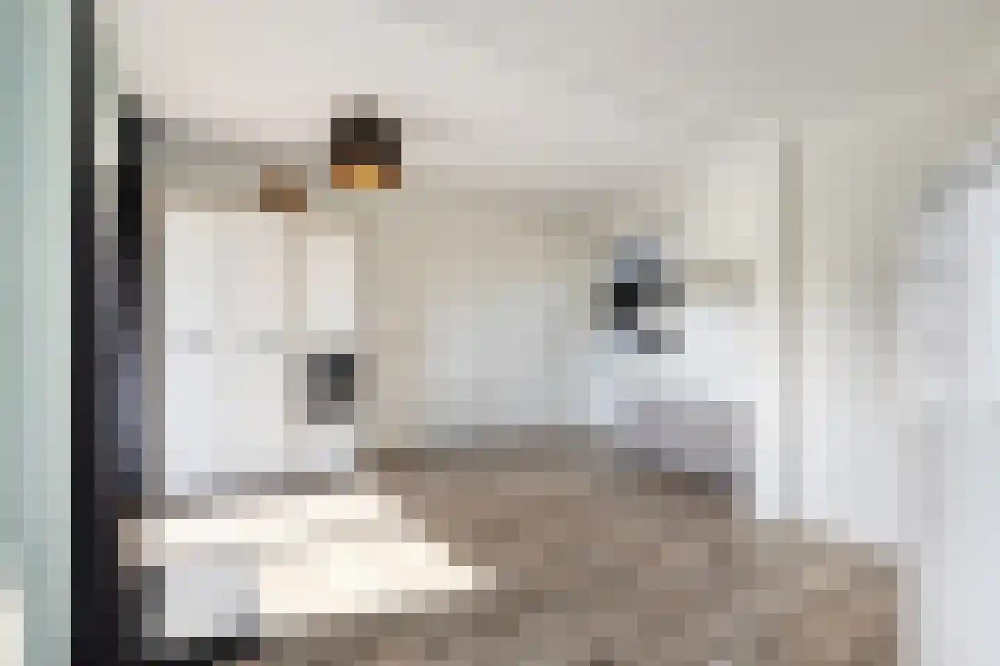Beatrixstraat 9 Rossum thumbnail 12