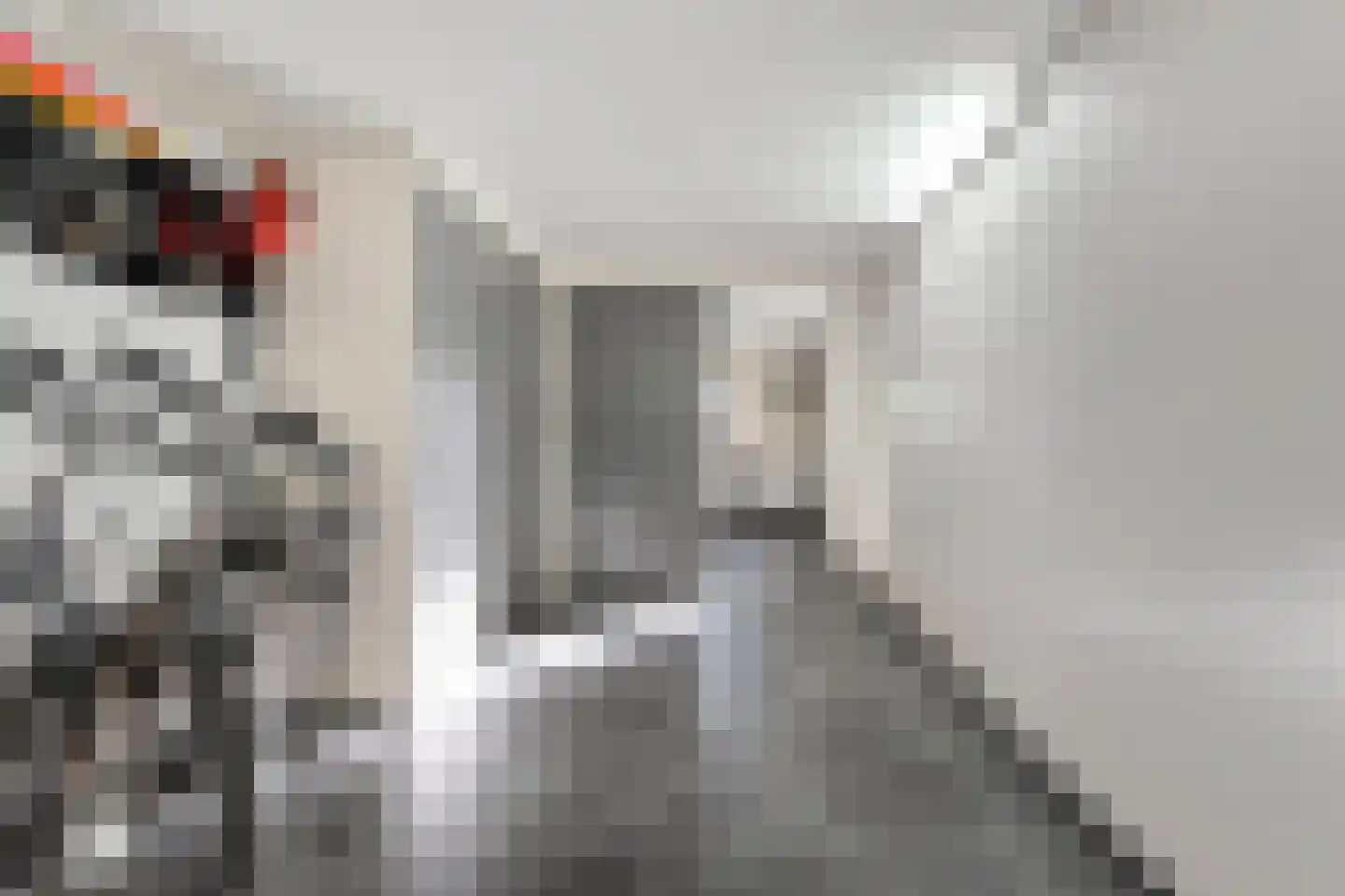 Beatrixstraat 9 Rossum thumbnail 14