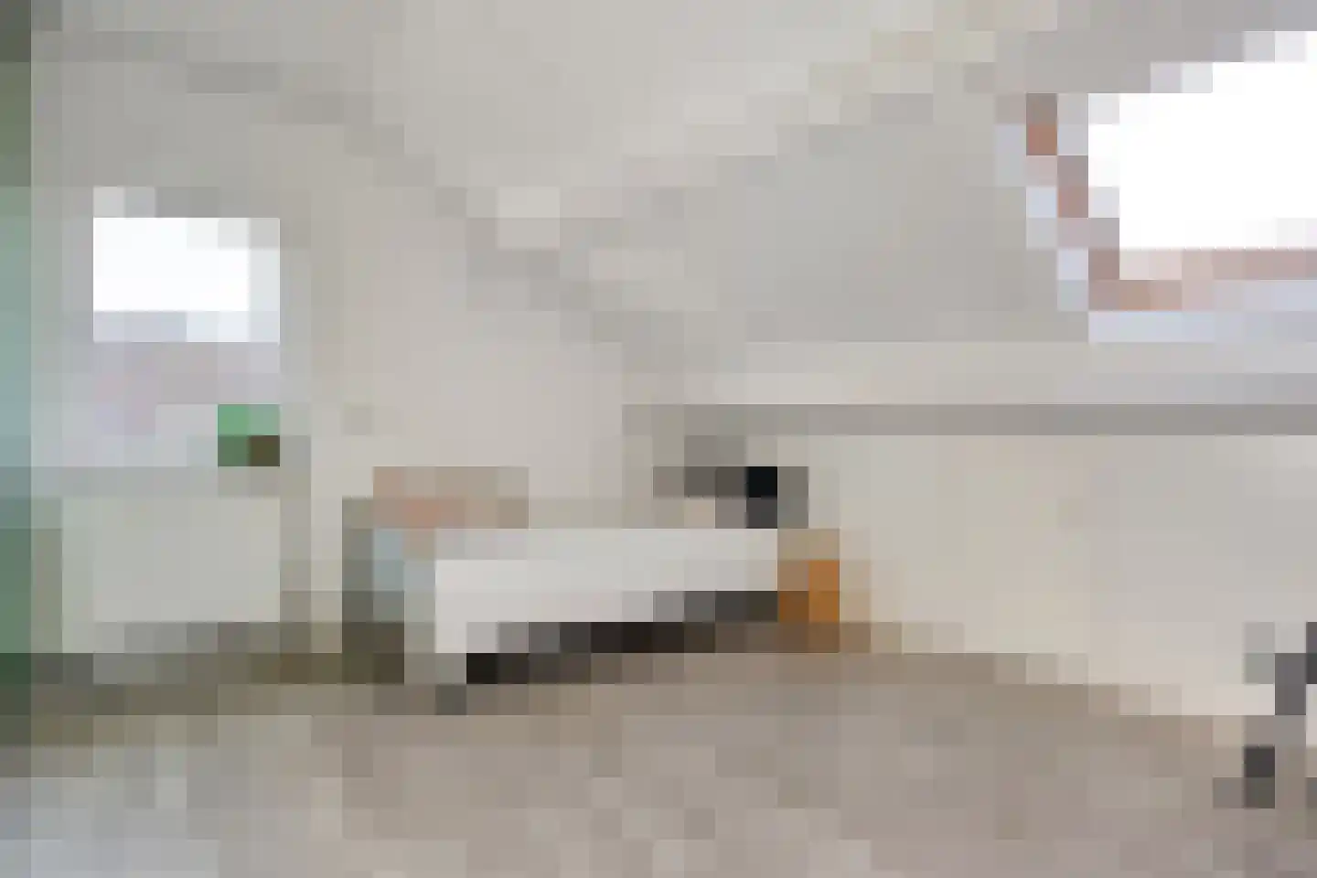 Beatrixstraat 9 Rossum thumbnail 18
