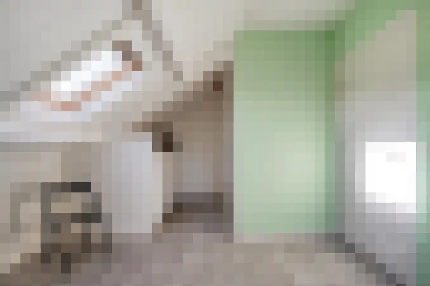 Beatrixstraat 9 Rossum thumbnail 19