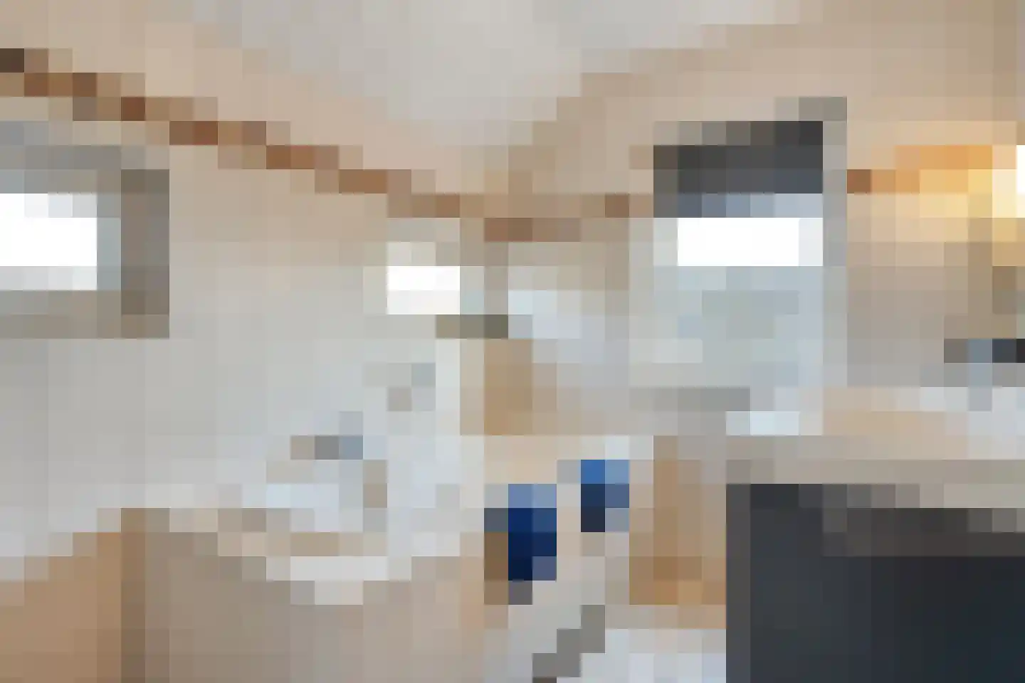 Beatrixstraat 9 Rossum thumbnail 22