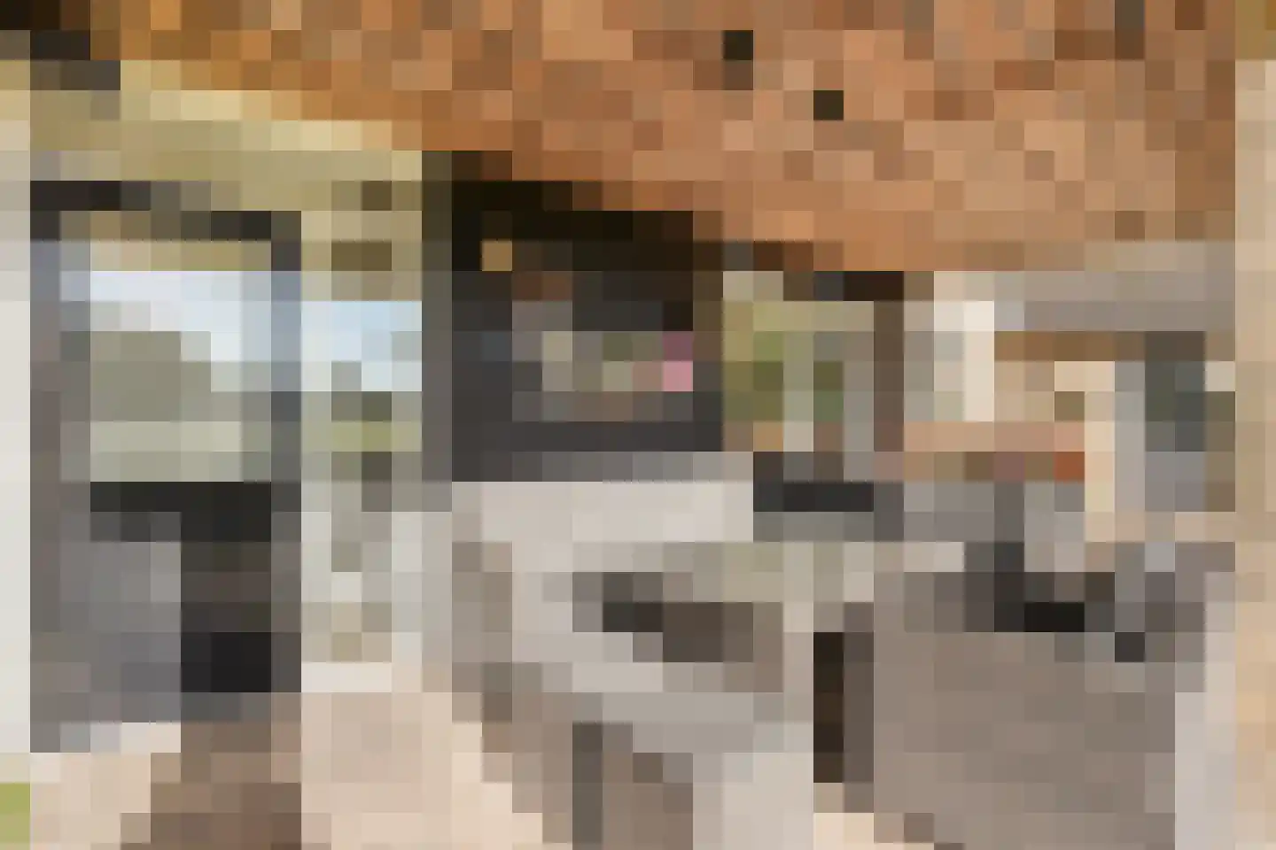 Beatrixstraat 9 Rossum thumbnail 25