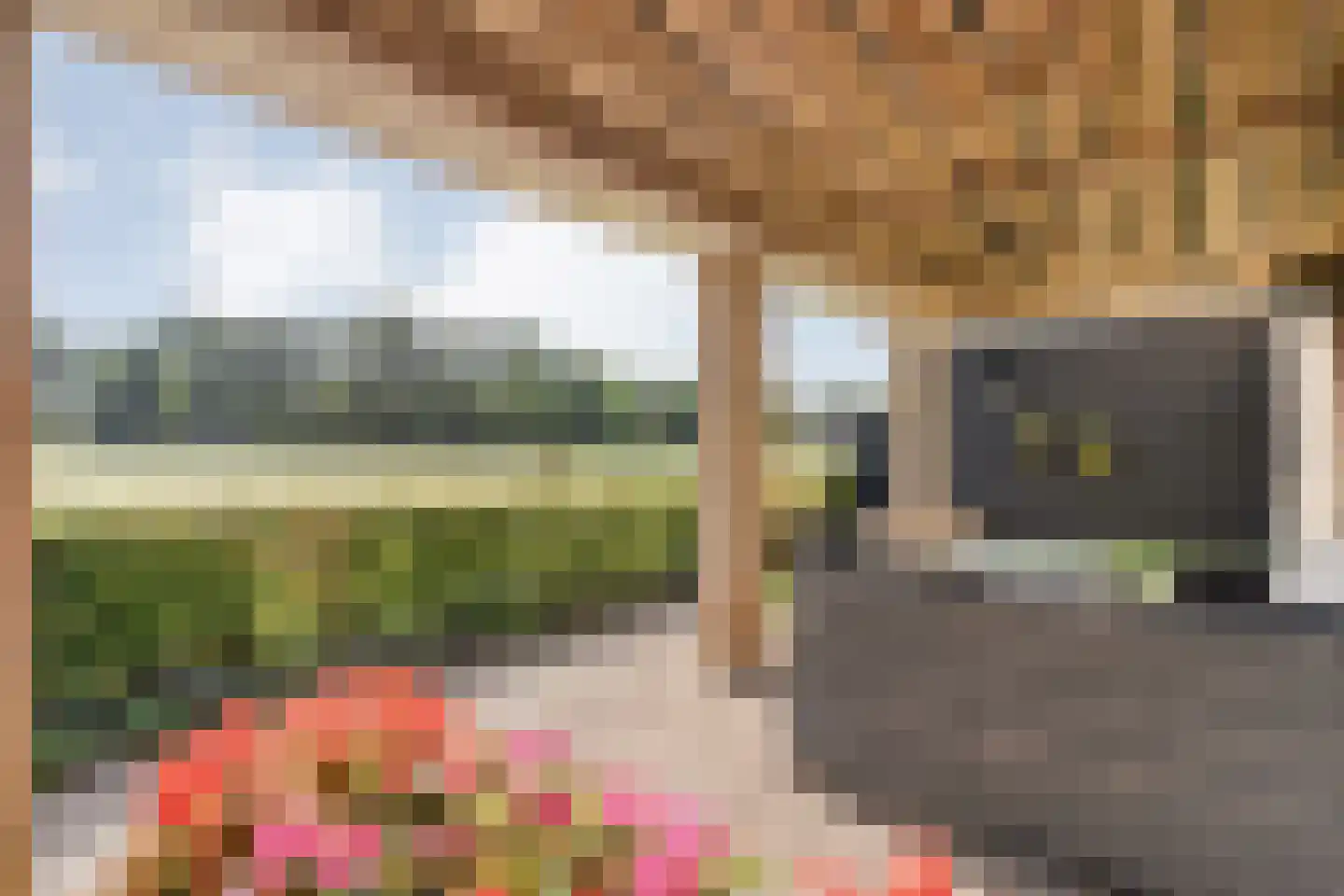 Beatrixstraat 9 Rossum thumbnail 26