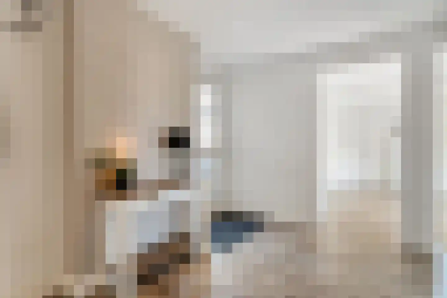Beatrixstraat 9 Rossum thumbnail 4
